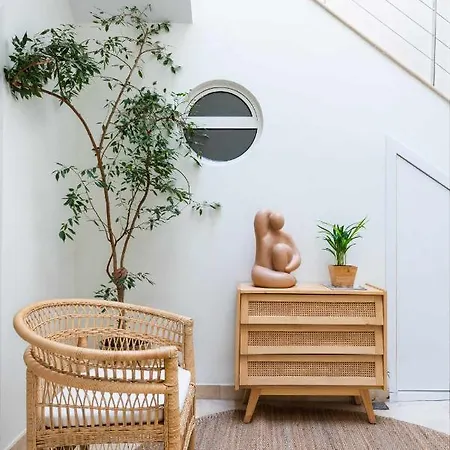 Monkeys Loft Pureza